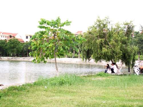 Độc[-]đáo[-]đảo[-]cò[-]giữa[-]lòng[-]thành[-]phố[-]Hưng[-]Yên[-]3
